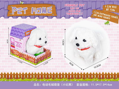 <img src='photo/B/JB078798.JPG'width='400' height='300'>