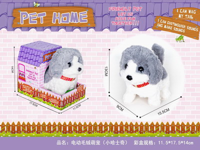 <img src='photo/B/JB078799.JPG'width='400' height='300'>