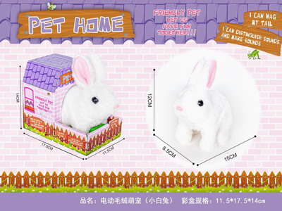 <img src='photo/B/JB078802.JPG'width='400' height='300'>