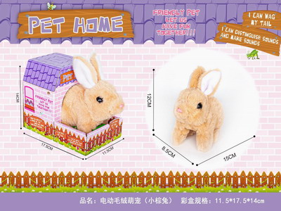 <img src='photo/B/JB078803.JPG'width='400' height='300'>