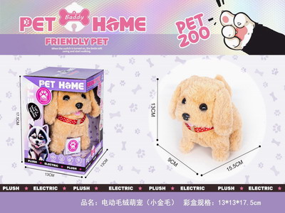 <img src='photo/B/JB078810.JPG'width='400' height='300'>