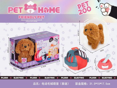 <img src='photo/B/JB078822.JPG'width='400' height='300'>