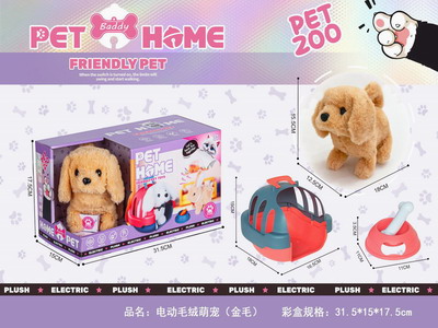 <img src='photo/B/JB078823.JPG'width='400' height='300'>