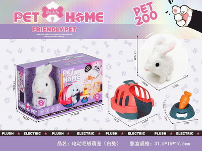 <img src='photo/B/JB078825.JPG'width='400' height='300'>