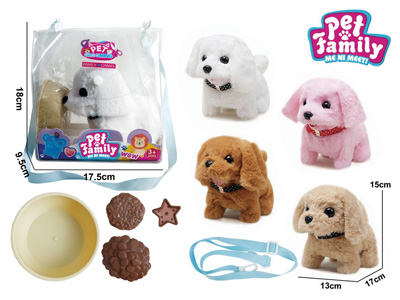 <img src='photo/B/JB081309.jpg'width='400' height='300'>