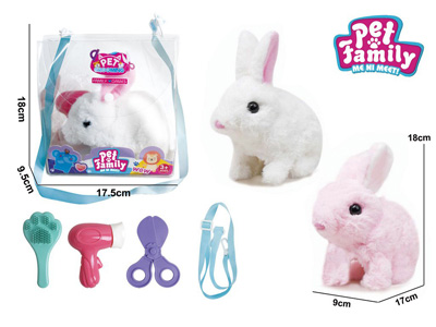 <img src='photo/B/JB081318.jpg'width='400' height='300'>