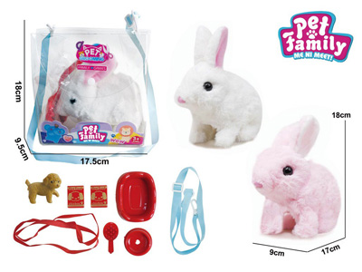 <img src='photo/B/JB081319.jpg'width='400' height='300'>