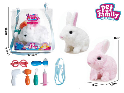 <img src='photo/B/JB081320.jpg'width='400' height='300'>