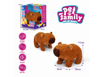 <img src='photo/B/JB081424.jpg'width='400' height='300'>