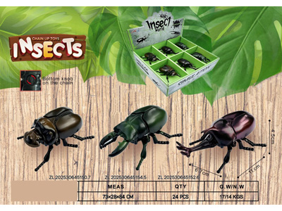 <img src='photo/D/JD011321.jpg'width='400' height='300'>