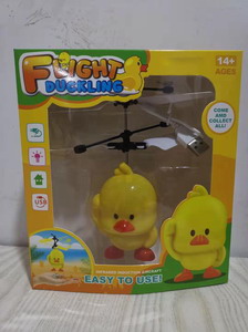 <img src='photo/F/JF080338.jpg'width='400' height='300'>