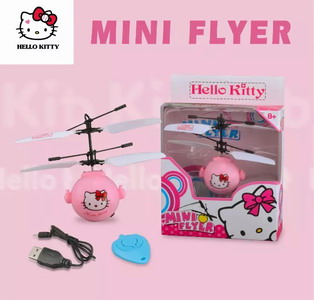 <img src='photo/F/JF080425.JPG'width='400' height='300'>