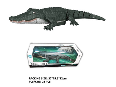 <img src='photo/F/JF110704.jpg'width='400' height='300'>