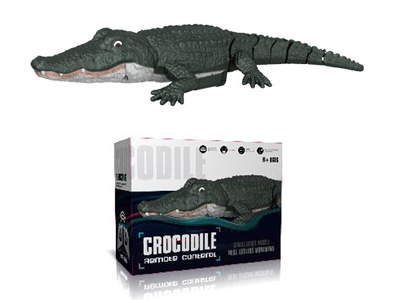 <img src='photo/F/JF110706.jpg'width='400' height='300'>