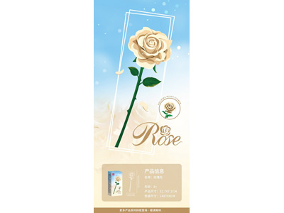 <img src='photo/K/JK200514.jpg'width='400' height='300'>