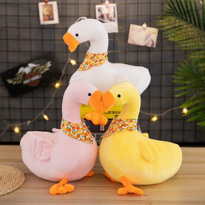 <img src='photo/O/JO158791.jpg'width='400' height='300'>