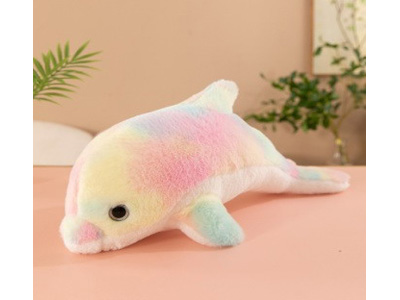 <img src='photo/O/JO229819.jpg'width='400' height='300'>