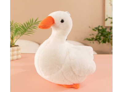 <img src='photo/O/JO229833.jpg'width='400' height='300'>