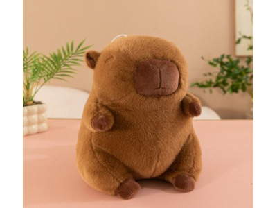 <img src='photo/O/JO229842.jpg'width='400' height='300'>