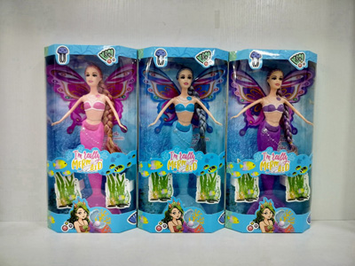 <img src='photo/O/JO230829.jpg'width='400' height='300'>