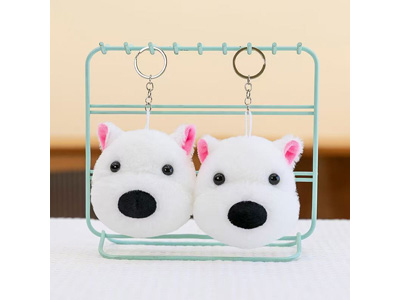 <img src='photo/P/JP006554.jpg'width='400' height='300'>