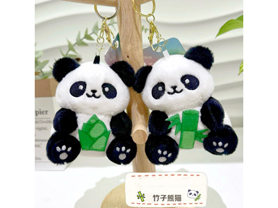 <img src='photo/P/JP006586.jpg'width='400' height='300'>