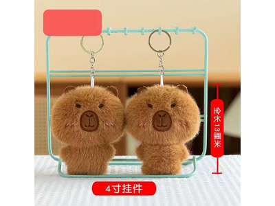 <img src='photo/P/JP006635.jpg'width='400' height='300'>