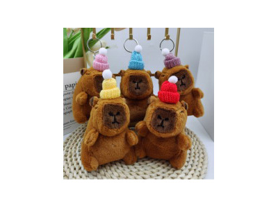 <img src='photo/P/JP006775.jpg'width='400' height='300'>