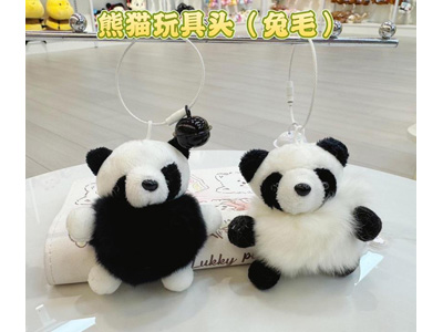 <img src='photo/P/JP006880.jpg'width='400' height='300'>