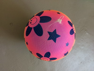 <img src='photo/S/JS074554.JPG'width='400' height='300'>