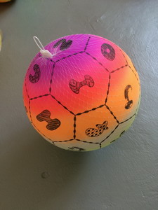 <img src='photo/S/JS074558.JPG'width='400' height='300'>