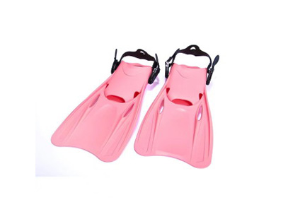 <img src='photo/V/JV097635.jpg'width='400' height='300'>