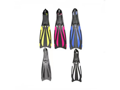 <img src='photo/V/JV097640.jpg'width='400' height='300'>