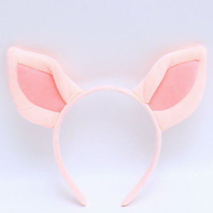 <img src='photo/X/JX063536.jpg'width='400' height='300'>