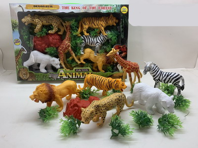 <img src='photo/Z/JZ088272.jpg'width='400' height='300'>