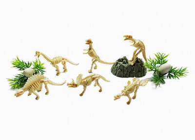 <img src='photo/Z/JZ092444.jpg'width='400' height='300'>