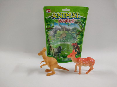 <img src='photo/Z/JZ092453.jpg'width='400' height='300'>