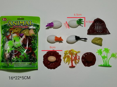 <img src='photo/Z/JZ092463.jpg'width='400' height='300'>