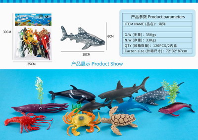 <img src='photo/Z/JZ092802.jpg'width='400' height='300'>