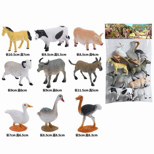 <img src='photo/Z/JZ097247.jpg'width='400' height='300'>