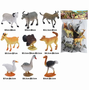 <img src='photo/Z/JZ097249.jpg'width='400' height='300'>