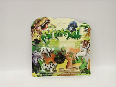 <img src='photo/Z/JZ100359.jpg'width='400' height='300'>