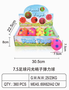 <img src='photo/Z/JZ100378.jpg'width='400' height='300'>