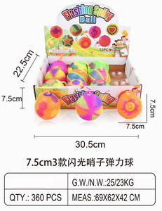 <img src='photo/Z/JZ100381.jpg'width='400' height='300'>