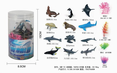 <img src='photo/Z/JZ100407.jpg'width='400' height='300'>