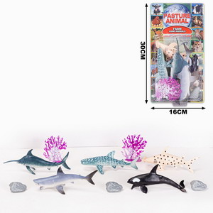 <img src='photo/Z/JZ101053.jpg'width='400' height='300'>