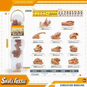 <img src='photo/Z/JZ101223.jpg'width='400' height='300'>