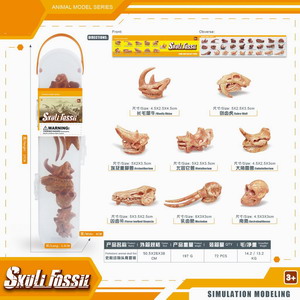 <img src='photo/Z/JZ101226.jpg'width='400' height='300'>