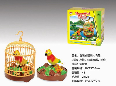 <img src='photo/Z/JZ101341.jpg'width='400' height='300'>