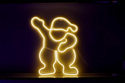 <img src='photo/Z/JZ102547.jpg'width='400' height='300'>